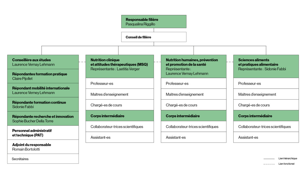 Organigramme de la filière Nutrition & diététique